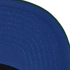 Evergreen Pro Snapback Coop Tampa Bay Rays