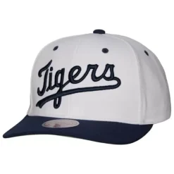 Evergreen Pro Snapback Coop Detroit Tigers