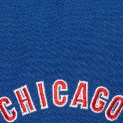 Evergreen Snapback Coop Chicago Cubs