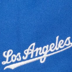 Evergreen Snapback Coop Los Angeles Dodgers