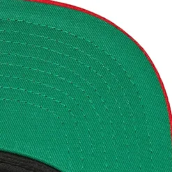 Evergreen Snapback Coop Minnesota Twins