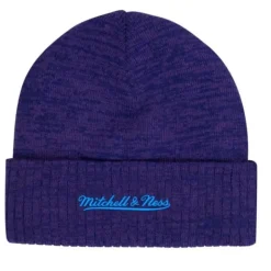 Fandom Knit Beanie Hwc Charlotte Hornets