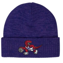 Fandom Knit Beanie Hwc Toronto Raptors