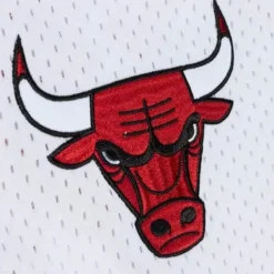 Fashion Mesh V-Neck Chicago Bulls