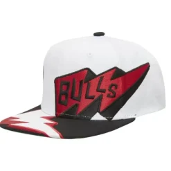 Fast Times Snapback Chicago Bulls