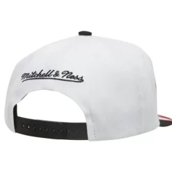 Fast Times Snapback Chicago Bulls