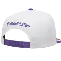 Fast Times Snapback Hwc Toronto Raptors