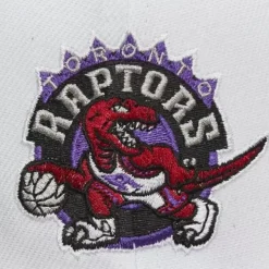 Fast Times Snapback Hwc Toronto Raptors