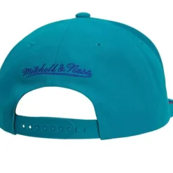 Front Face Snapback Hwc Charlotte Hornets