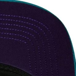 Front Face Snapback Hwc Charlotte Hornets