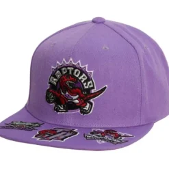 Front Face Snapback Hwc Toronto Raptors