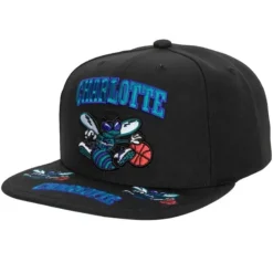 Front Loaded Snapback Hwc Charlotte Hornets