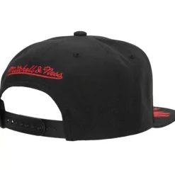 Front Loaded Snapback Toronto Raptors
