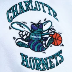 Fusion Fleece 2.0 Charlotte Hornets