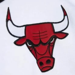 Fusion Fleece 2.0 Chicago Bulls