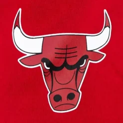 Game Day Ft Shorts Chicago Bulls