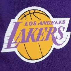 Game Day Ft Shorts Los Angeles Lakers