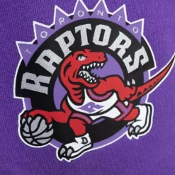 Game Day Ft Shorts Toronto Raptors