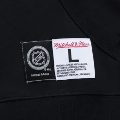 Game Time Fleece Hoodie Current Logo St. Louis Blues