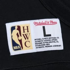 Game Time Fleece Hoodie Vintage Logo Charlotte Hornets