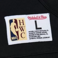 Game Time Fleece Hoodie Vintage Logo Detroit Pistons