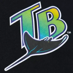 Game Time Fleece Hoodie Vintage Logo Tampa Bay Rays