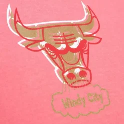 Golden Hour Glaze Ss Tee Chicago Bulls