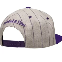 Grey Pin Pop Snapback Hwc Charlotte Hornets