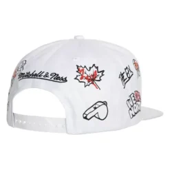 Hand Drawn Snapback Toronto Raptors