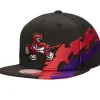 Happy Trees Snapback Hwc Toronto Raptors