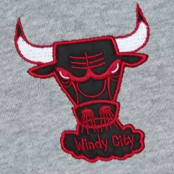 Head Coach Hoodie Chicago Bulls