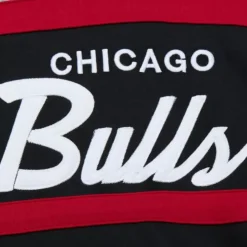 Head Coach Hoodie Chicago Bulls