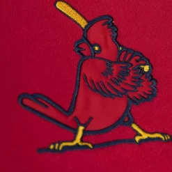 Head Coach Hoodie St. Louis Cardinals