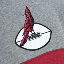 Headcoach Hoody Arizona Cardinals