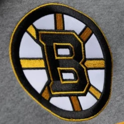 Headcoach Hoody Boston Bruins