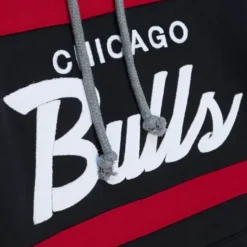 Headcoach Hoody Chicago Bulls