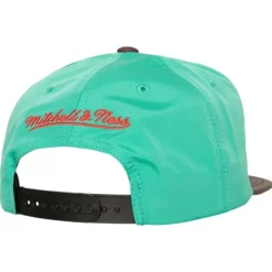 Heat Up Snapback Hwc Vancouver Grizzlies