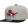 Heather Underpop Snapback Toronto Raptors