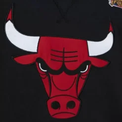 Heavyweight Fleece Hoodie Chicago Bulls
