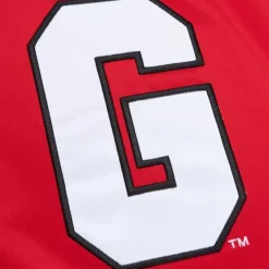 Heavyweight Satin Jacket University Of Georgia