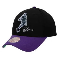 Highlight Real Carter Snapback Hwc Toronto Raptors