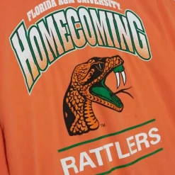 Homecoming Arch Ls Tee Florida A&M University