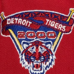 Hometown Snapback Coop Detroit Tigers