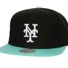 Hometown Snapback Coop New York Mets