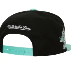 Hometown Snapback Coop New York Mets