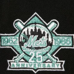 Hometown Snapback Coop New York Mets