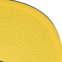 Hometown Snapback Coop Tampa Bay Rays