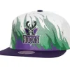 Hot Fire Snapback Hwc Milwaukee Bucks