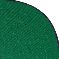 Hot Fire Snapback Hwc Milwaukee Bucks