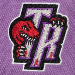 Hyperteam Fitted Hwc Toronto Raptors